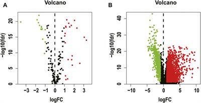 A novel necroptosis-related lncRNA signature for predicting prognosis and immune response of colon cancer